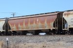 IC 799810